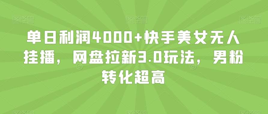 单日利润4000+快手美女无人挂播，网盘拉新3.0玩法，男粉转化超高【揭秘】插图零零网创资源网