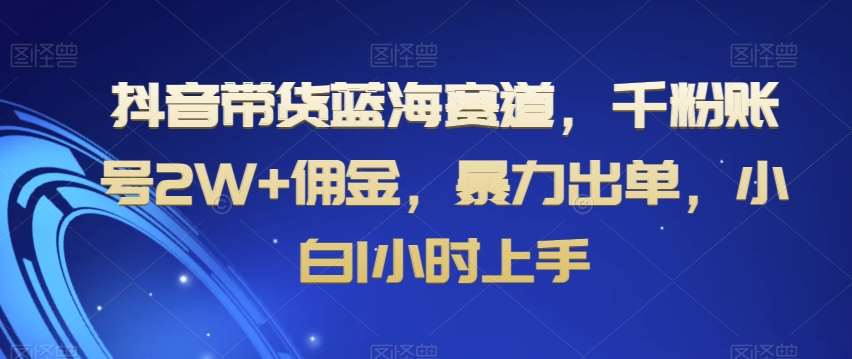 抖音带货蓝海赛道，千粉账号2W+佣金，暴力出单，小白1小时上手【揭秘】插图零零网创资源网