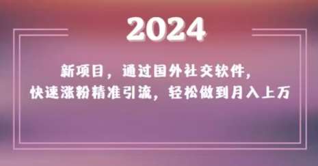 2024新项目，通过国外社交软件，快速涨粉精准引流，轻松做到月入上万【揭秘】插图零零网创资源网