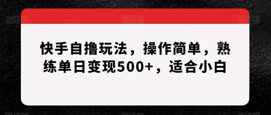 快手自撸玩法，操作简单，熟练单日变现500+，适合小白【揭秘】插图零零网创资源网