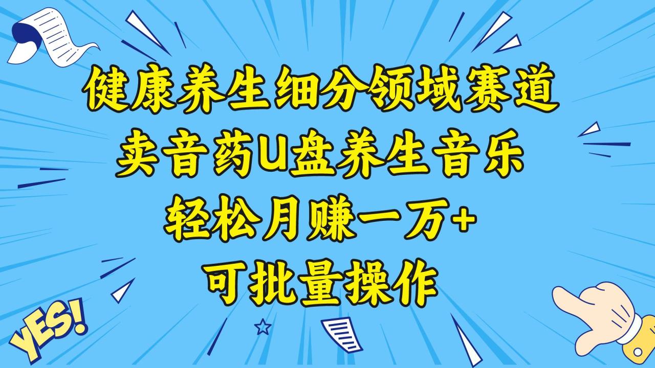 （8503期）健康养生细分领域赛道，卖音药U盘养生音乐，轻松月赚一万+，可批量操作插图零零网创资源网