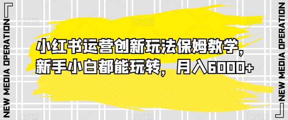 小红书运营创新玩法保姆教学，新手小白都能玩转，月入6000+【揭秘】插图零零网创资源网