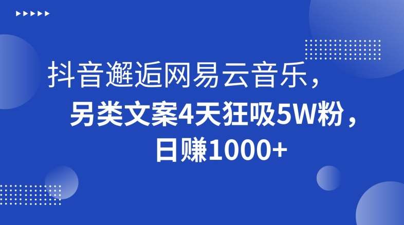 抖音邂逅网易云音乐，另类文案4天狂吸5W粉，日赚1000+【揭秘】插图零零网创资源网