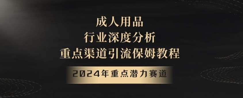 2024年重点潜力赛道，成人用品行业深度分析，重点渠道引流保姆教程【揭秘】插图零零网创资源网