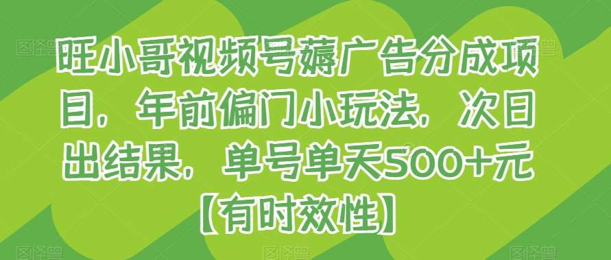 旺小哥视频号薅广告分成项目，年前偏门小玩法，次日出结果，单号单天500+元【有时效性】插图零零网创资源网