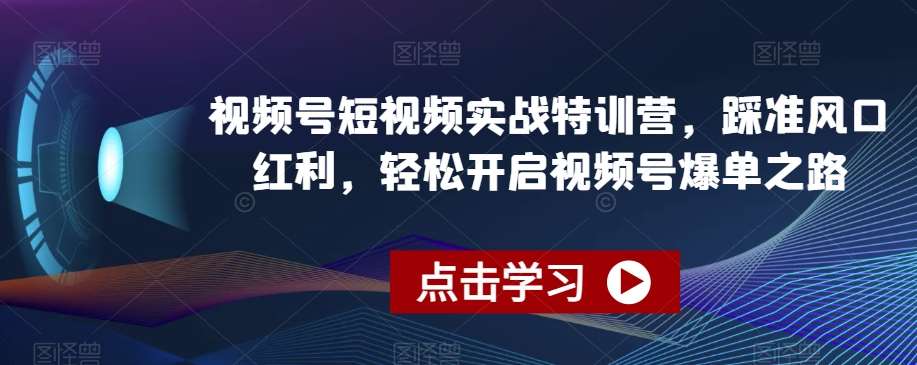 视频号短视频实战特训营，踩准风口红利，轻松开启视频号爆单之路插图零零网创资源网