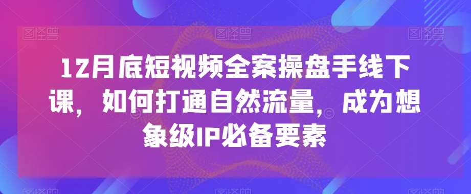 12月底短视频全案操盘手线下课，如何打通自然流量，成为想象级IP必备要素插图零零网创资源网