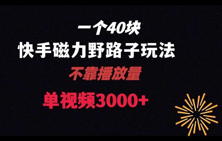 一个40块，快手联合美团磁力新玩法，无视机制野路子玩法，单视频收益4位数【揭秘】插图零零网创资源网