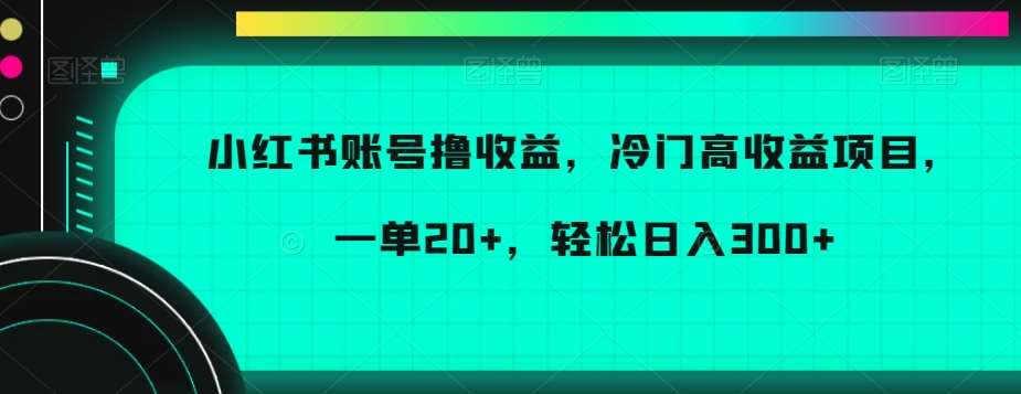 小红书账号撸收益，冷门高收益项目，一单20+，轻松日入300+【揭秘】插图零零网创资源网