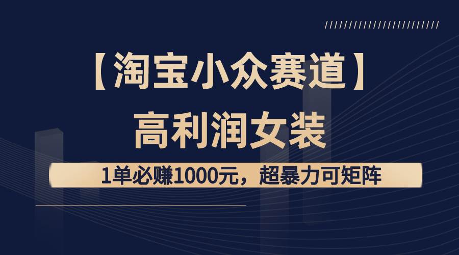 （8608期）【淘宝小众赛道】高利润女装：1单必赚1000元，超暴力可矩阵插图零零网创资源网