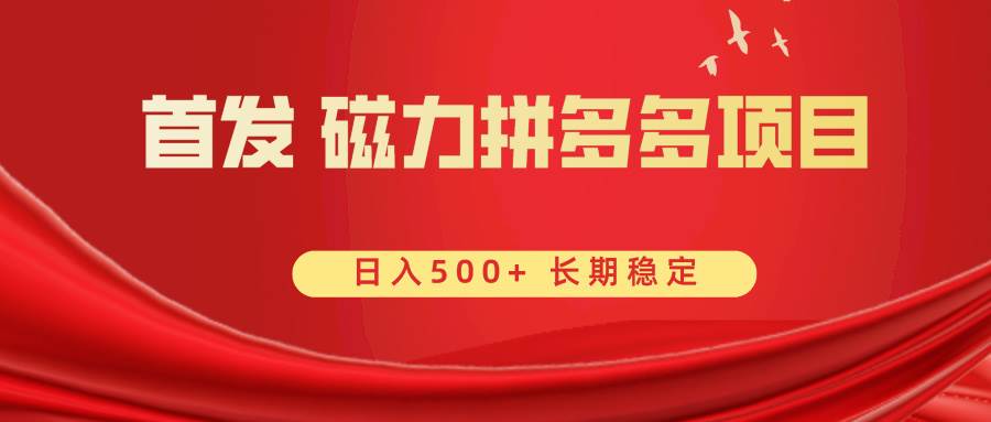 （8611期）首发 磁力拼多多自撸  日入500+插图零零网创资源网