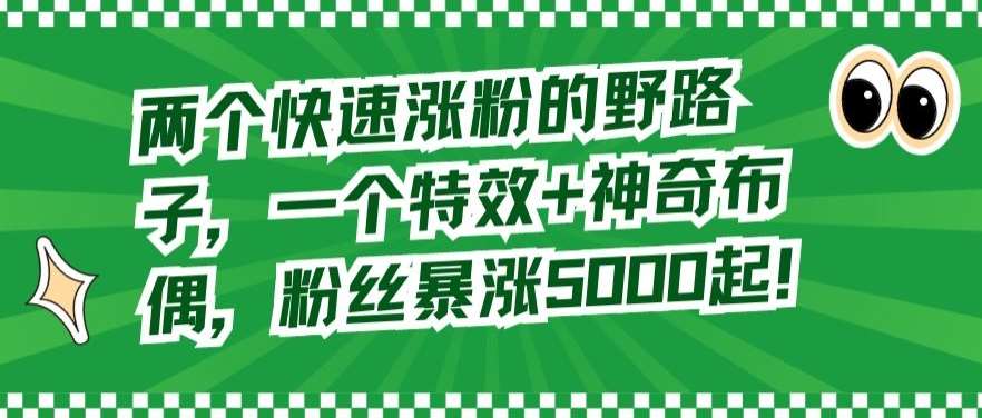 两个快速涨粉的野路子，一个特效+神奇布偶，粉丝暴涨5000起【揭秘】插图零零网创资源网