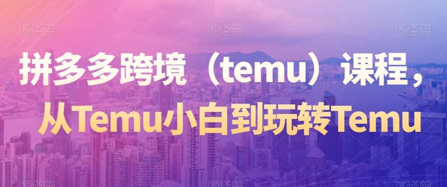 拼多多跨境（temu）课程，从Temu小白到玩转Temu插图零零网创资源网