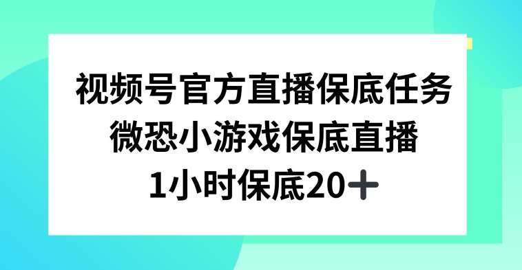 视频号直播任务，微恐小游戏，1小时20+【揭秘】插图零零网创资源网