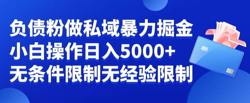 负债粉私域暴力掘金，小白操作入5000，无经验限制，无条件限制【揭秘】插图零零网创资源网