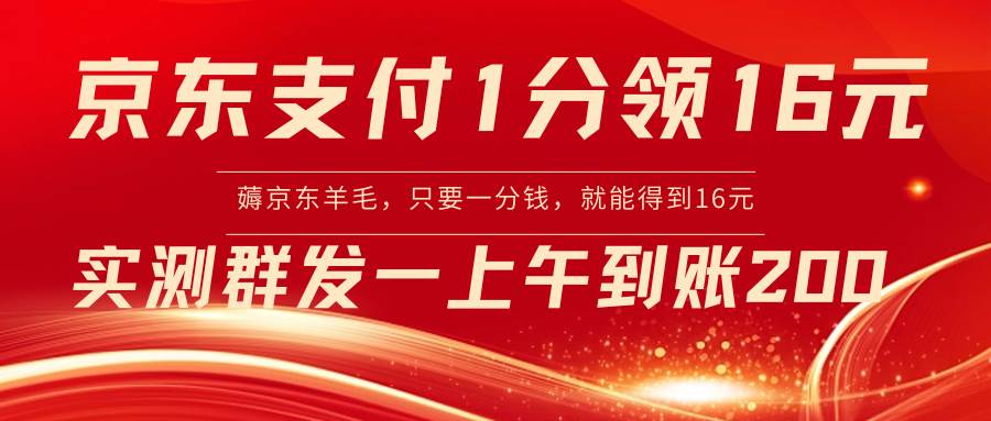 （8678期）京东支付1分得16元实操到账200插图零零网创资源网