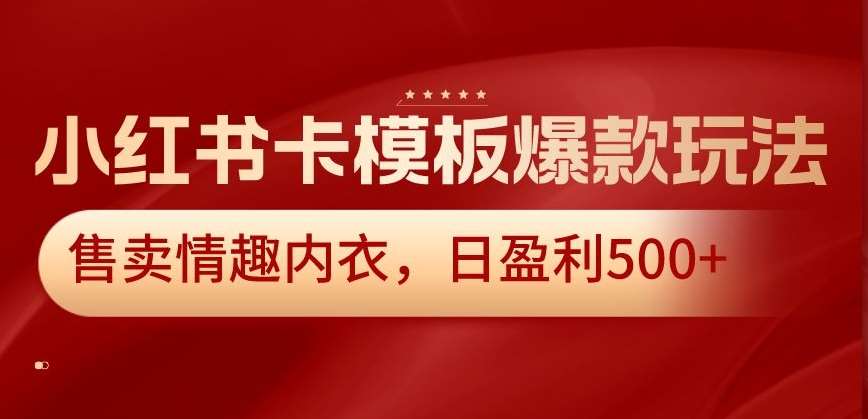 小红书卡模板爆款玩法，售卖情趣内衣，日盈利500+【揭秘】插图零零网创资源网