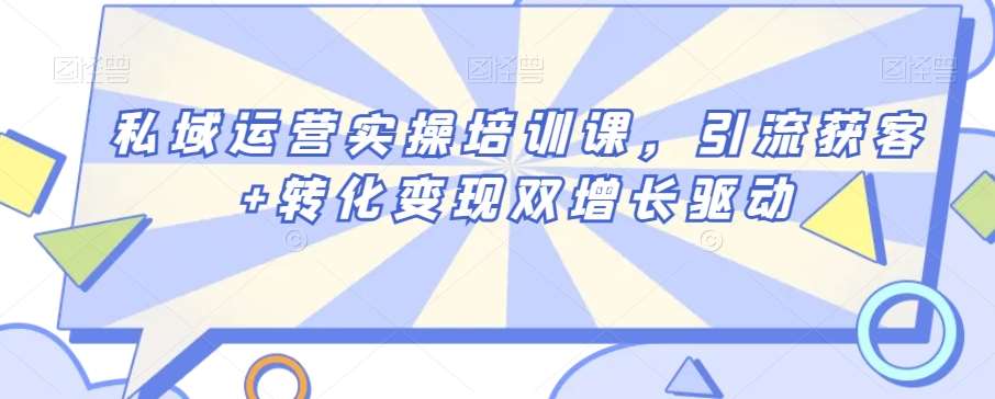 私域运营实操培训课，引流获客+转化变现双增长驱动插图零零网创资源网