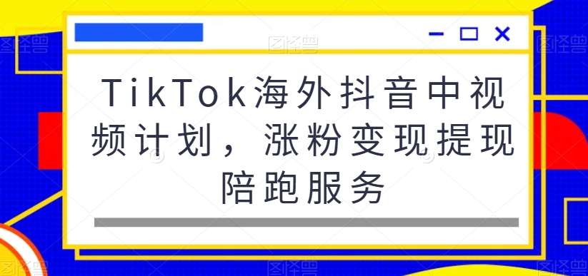 TikTok海外抖音中视频计划，涨粉变现提现陪跑服务插图零零网创资源网