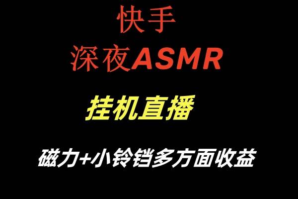 （8757期）快手深夜ASMR挂机直播磁力+小铃铛多方面收益插图零零网创资源网