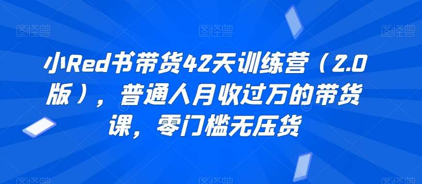 小Red书带货42天训练营（2.0版），普通人月收过万的带货课，零门槛无压货插图零零网创资源网