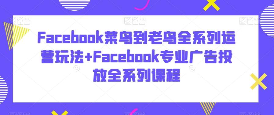 Facebook菜鸟到老鸟全系列运营玩法+Facebook专业广告投放全系列课程插图零零网创资源网