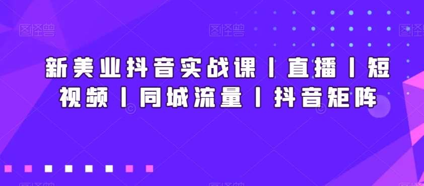 新美业抖音实战课丨直播丨短视频丨同城流量丨抖音矩阵插图零零网创资源网