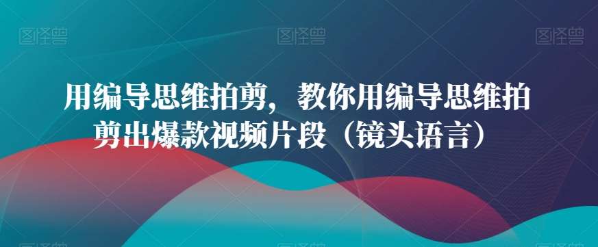 用编导思维拍剪，教你用编导思维拍剪出爆款视频片段（镜头语言）插图零零网创资源网