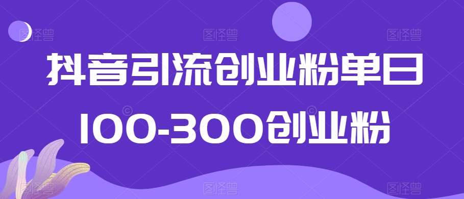 抖音引流创业粉单日100-300创业粉【揭秘】插图零零网创资源网