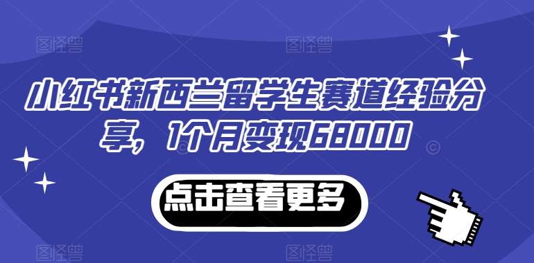 小红书新西兰留学生赛道经验分享，1个月变现68000【揭秘】插图零零网创资源网