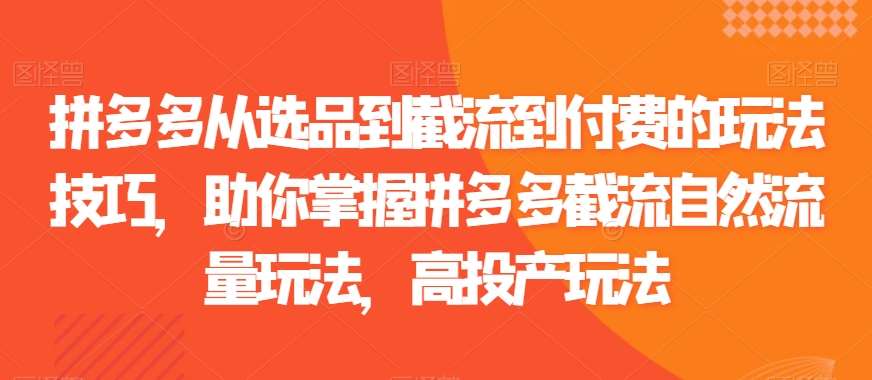 拼多多从选品到截流到付费的玩法技巧，助你掌握拼多多截流自然流量玩法，高投产玩法插图零零网创资源网