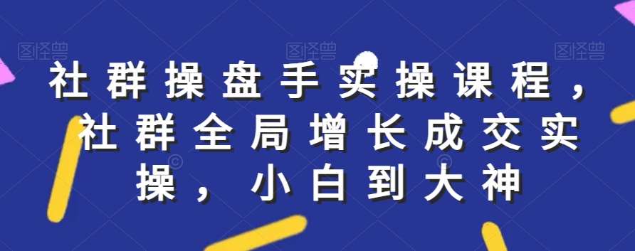 社群实操课程，社群全局增长成交实操，小白到大神插图零零网创资源网