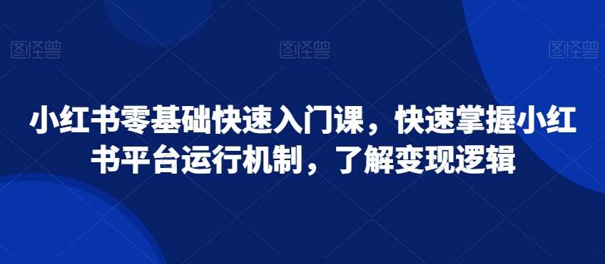 小红书零基础快速入门课，快速掌握小红书平台运行机制，了解变现逻辑插图零零网创资源网