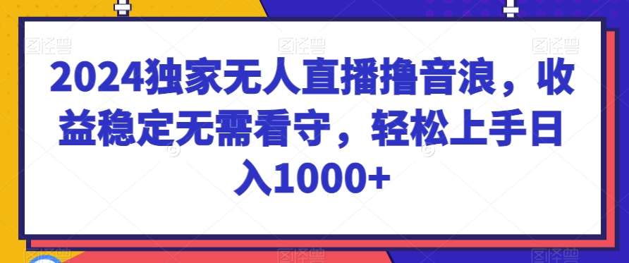 2024独家无人直播撸音浪，收益稳定无需看守，轻松上手日入1000+【揭秘】插图零零网创资源网