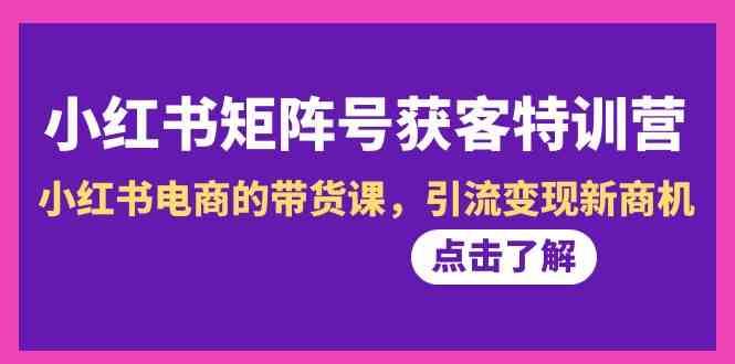 小红书矩阵号获客特训营-第10期，小红书电商的带货课，引流变现新商机插图零零网创资源网