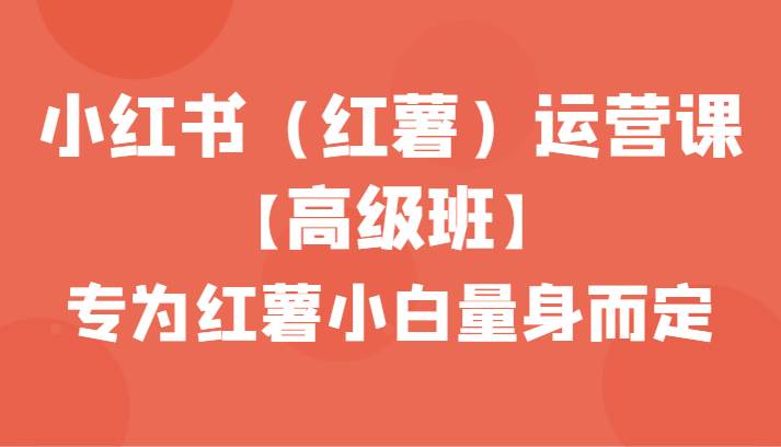 小红书（红薯）运营课【高级班】，专为红薯小白量身而定（42节课）插图零零网创资源网