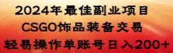 （8941期）2024年最佳副业项目 CSGO饰品装备交易 轻易操作单账号日入200+插图零零网创资源网