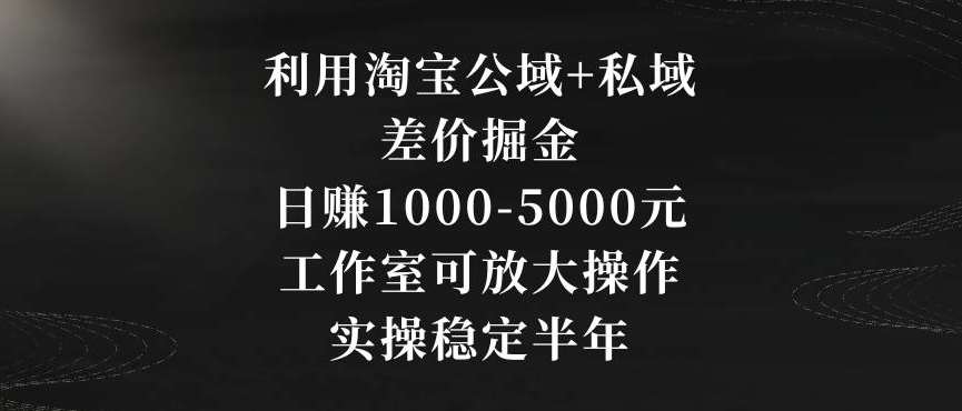 利用淘宝公域+私域差价掘金，日赚1000-5000元，工作室可放大操作，实操稳定半年【揭秘】插图零零网创资源网