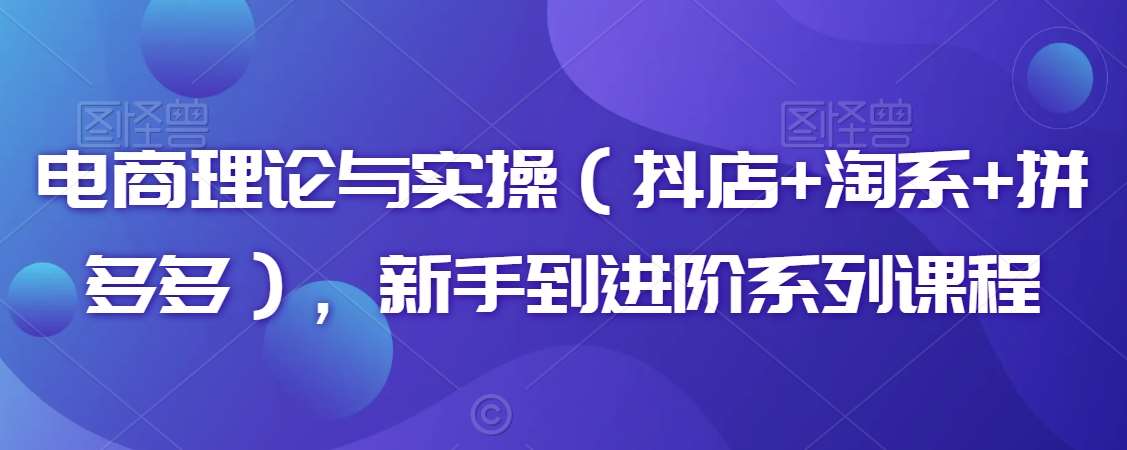 电商理论与实操（抖店+淘系+拼多多），新手到进阶系列课程插图零零网创资源网