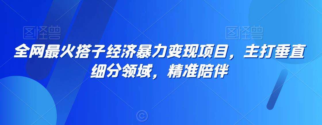 全网最火搭子经济暴力变现项目，主打垂直细分领域，精准陪伴【揭秘】插图零零网创资源网