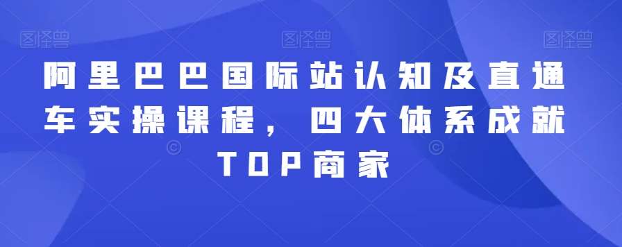 阿里巴巴国际站认知及直通车实操课程，四大体系成就TOP商家插图零零网创资源网