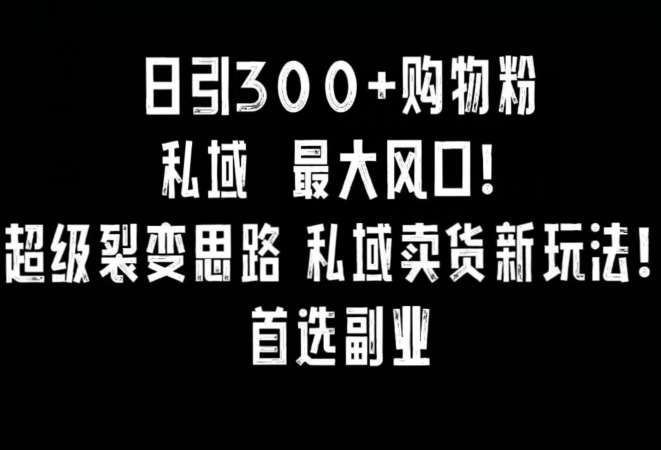 日引300+购物粉，超级裂变思路，私域卖货新玩法，小红书首选副业【揭秘】插图零零网创资源网