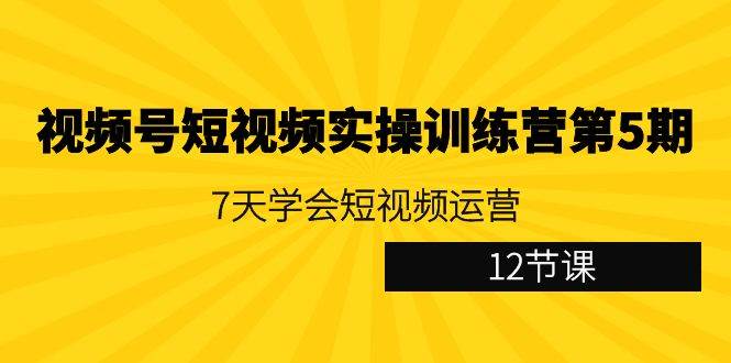 视频号短视频实操训练营第5期：7天学会短视频运营（12节课）插图零零网创资源网