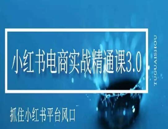 小红书电商实战精通课3.0，抓住小红书平台的风口，不错过有一个赚钱的机会插图零零网创资源网