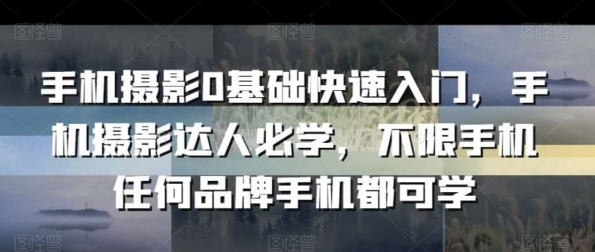 手机摄影0基础快速入门，手机摄影达人必学，不限手机任何品牌手机都可学插图零零网创资源网