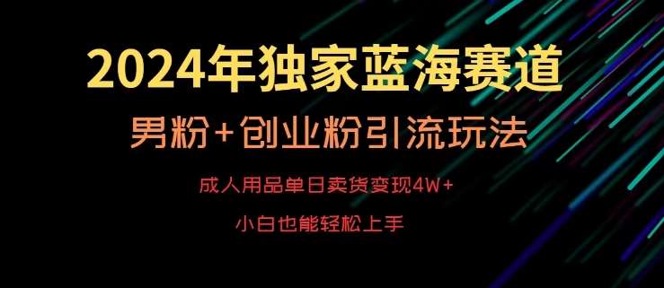 2024年独家蓝海赛道，成人用品单日卖货变现4W+，男粉+创业粉引流玩法，不愁搞不到流量【揭秘】插图零零网创资源网