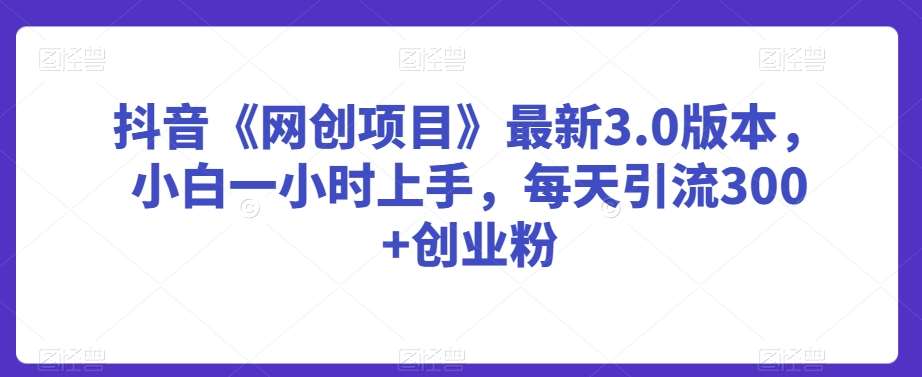 抖音《网创项目》最新3.0版本，小白一小时上手，每天引流300+创业粉【揭秘】插图零零网创资源网