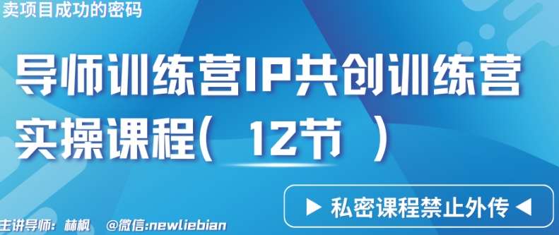 导师训练营3.0IP共创训练营私密实操课程（12节）-卖项目的密码成功秘诀【揭秘】插图零零网创资源网