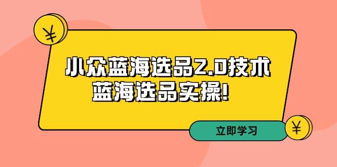 （9189期）拼多多培训第33期：小众蓝海选品2.0技术-蓝海选品实操！插图零零网创资源网