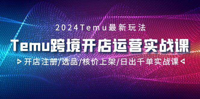 （9208期）2024Temu跨境开店运营实战课，开店注册/选品/核价上架/日出千单实战课插图零零网创资源网